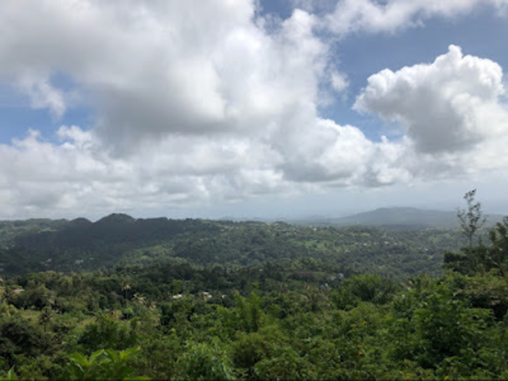 Meet your Posher, Dominick